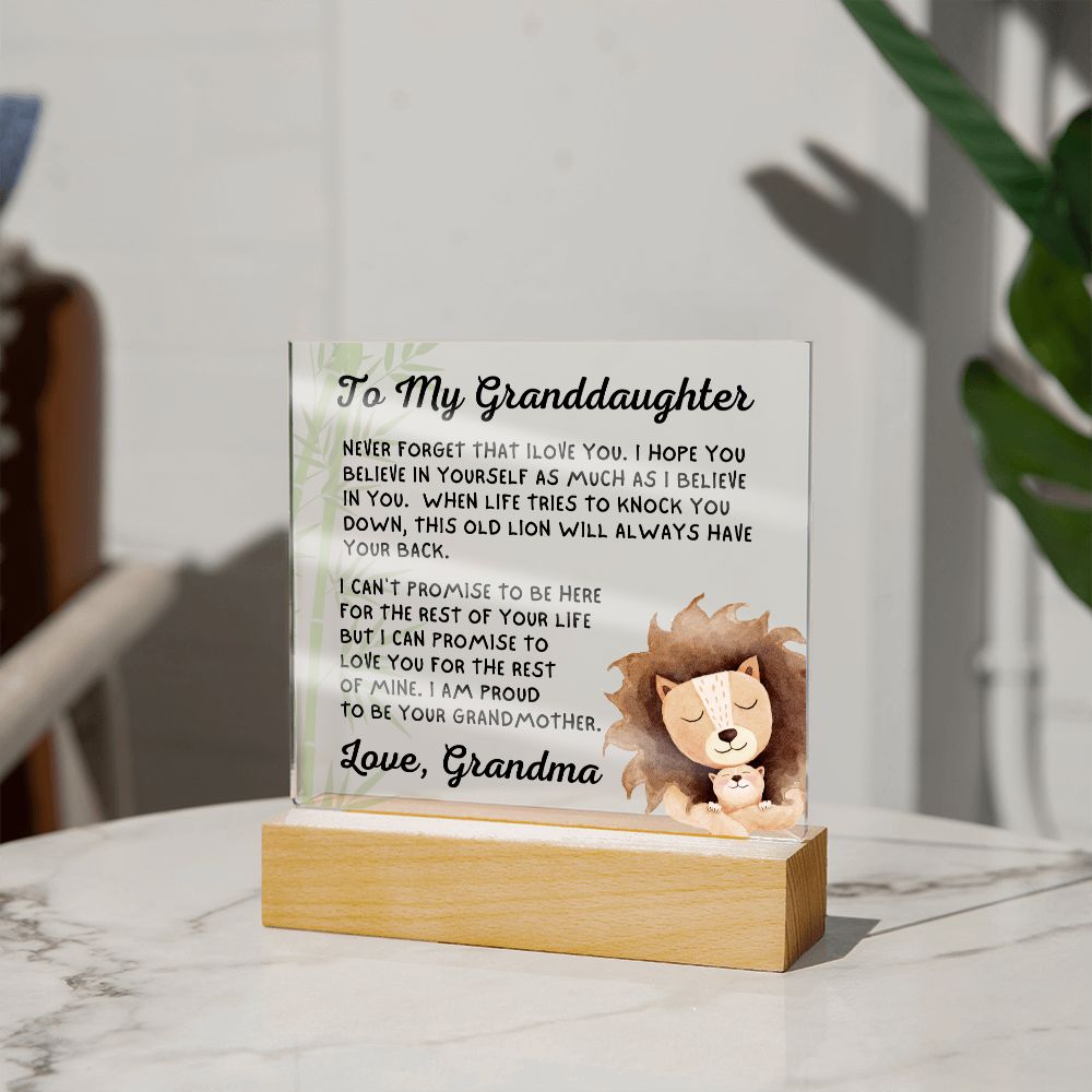 Gift for Granddaugher | Promise Acrylic Plaque 007-ACS